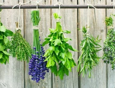 Κάψτε τα φύλλα αυτού του βοτάνου και το άγχος σας θα εξαφανιστεί